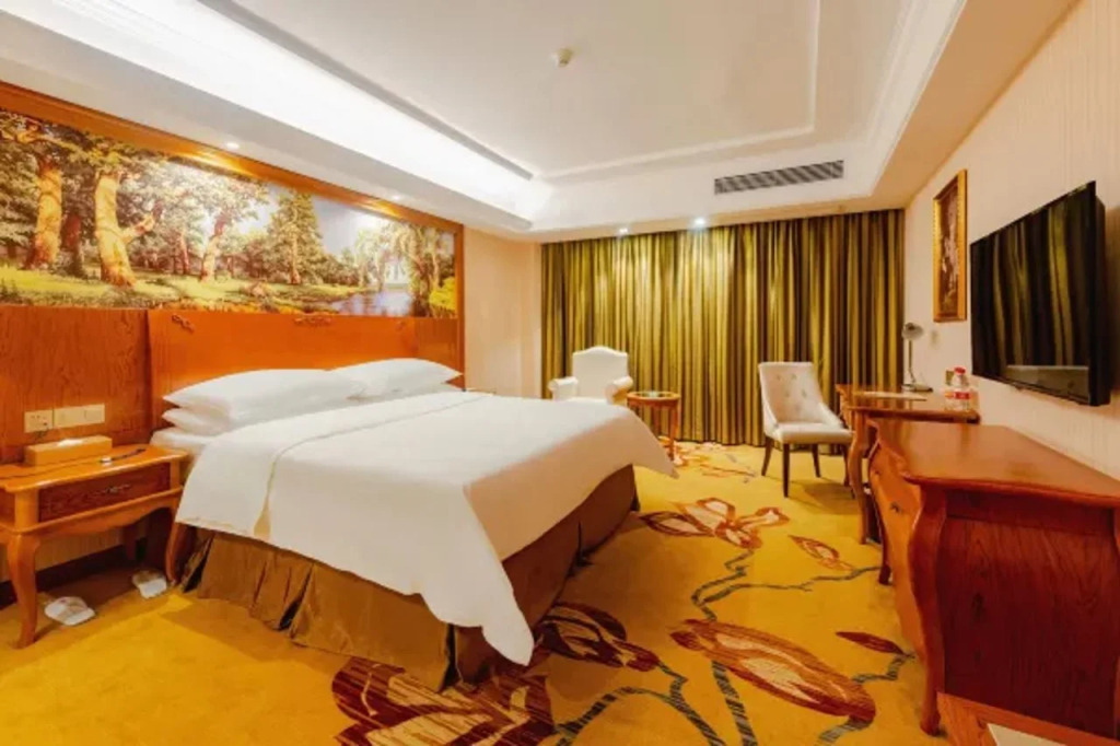 Vienna Hotel (Shenzhen Longgang Xinsheng Metro Station Branch)
