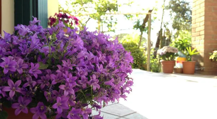 B&B Iliana