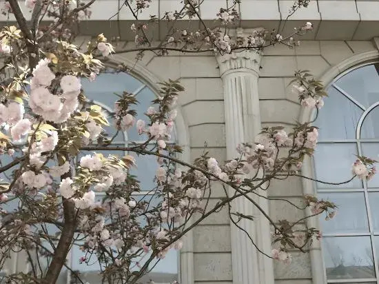 Kangshun Zhizhen Hotel (Wujiaochang Branch, Fudan University, Shanghai)