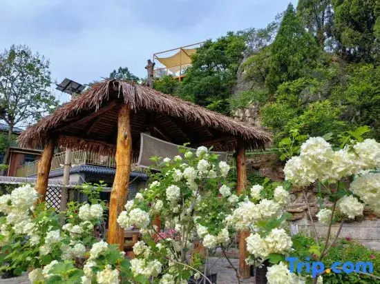 Jinan rustic primitive village residence