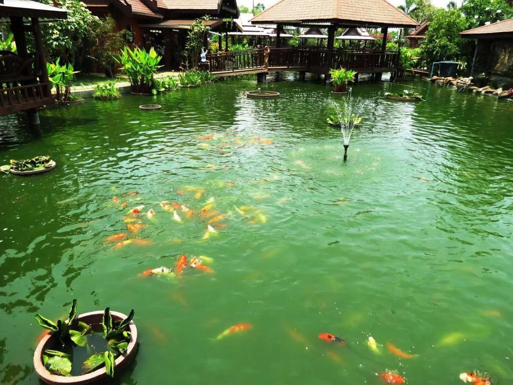 Pongsin Resort