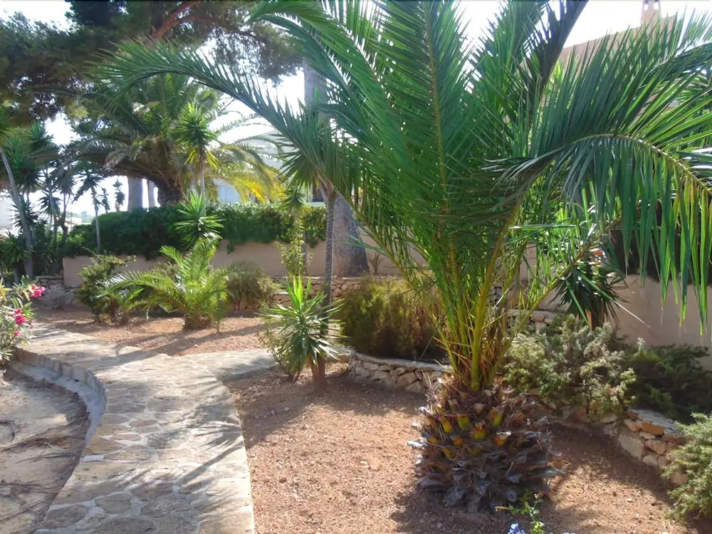Villa Paraiso Moraira Playa Vista mar