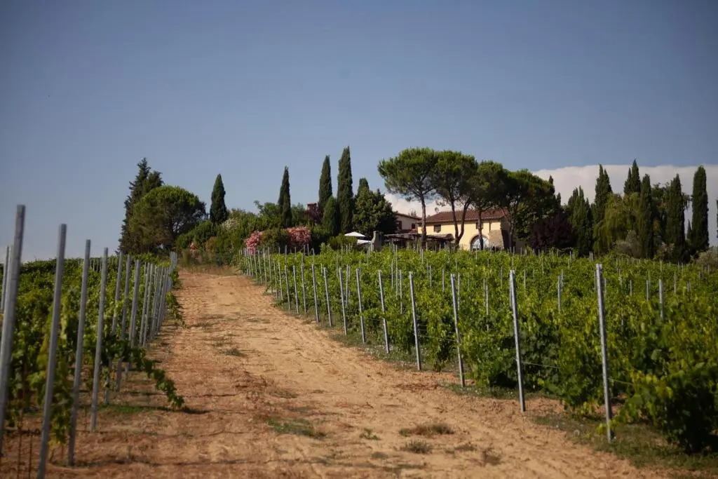 Casalsole