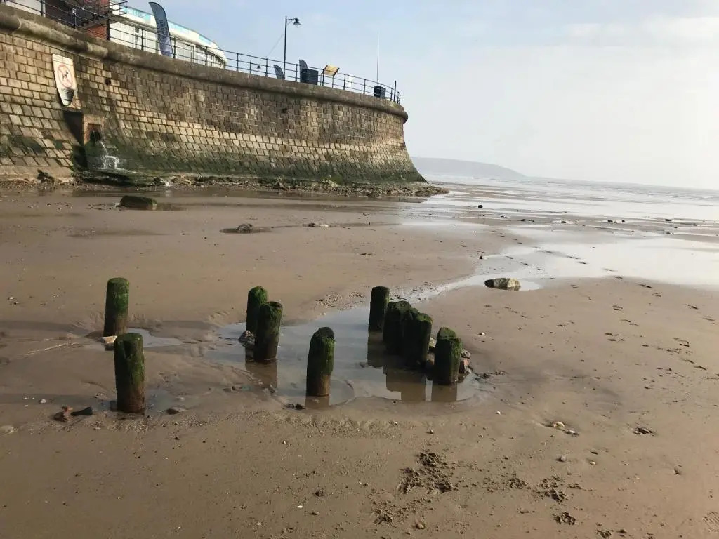 Daisy House Filey