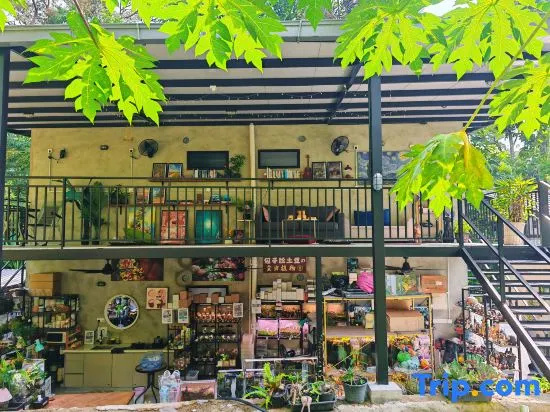 Penang Balik Pulau Daze in Nature Guest House 123