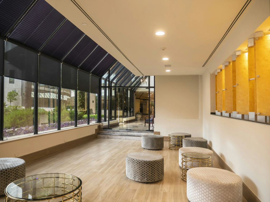 MS Milenium Monterrey Curio Collection by Hilton