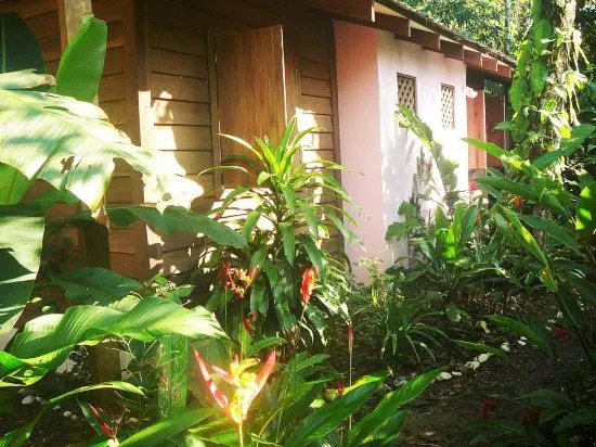 Casa Lina sloth view exotic apartment with privat kitchen