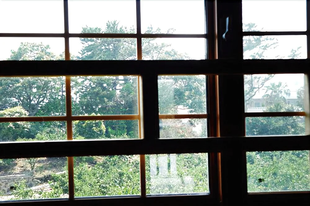 Seogwipo Log House Pension