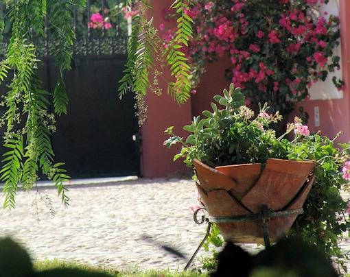 Pátio da Avó Faustina - Agroturismo