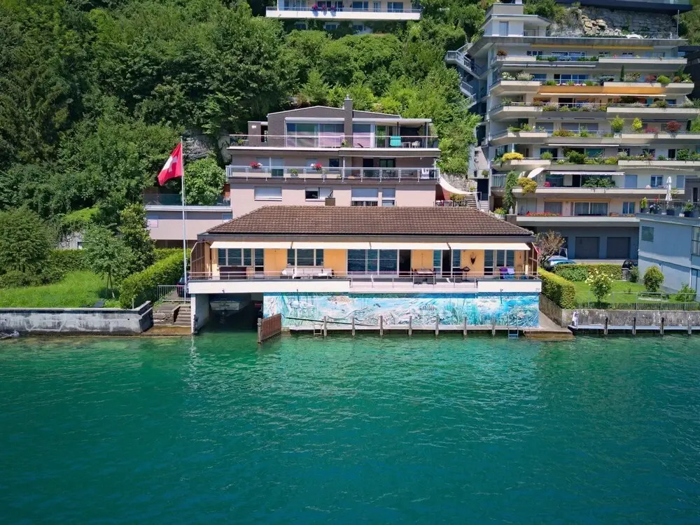 Seestern am See mit Motorboot Ennetb Rgen