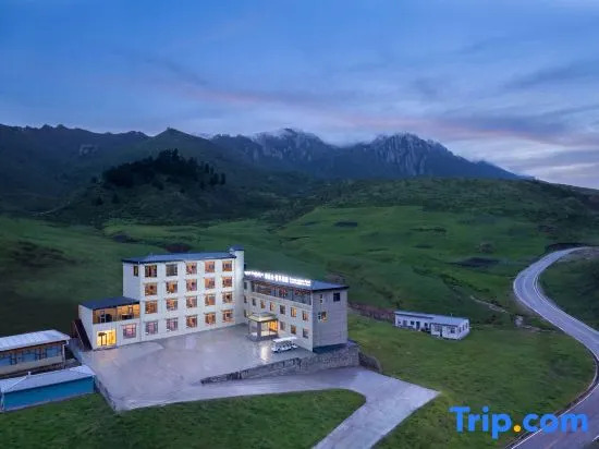 Dacang Luxury Hotel