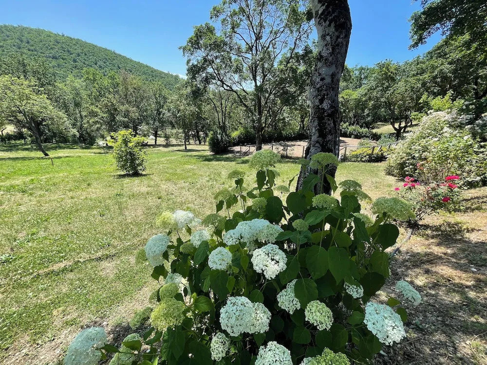 Vicolo - sleeps 5 with air con, wifi, balcony for dining and pool