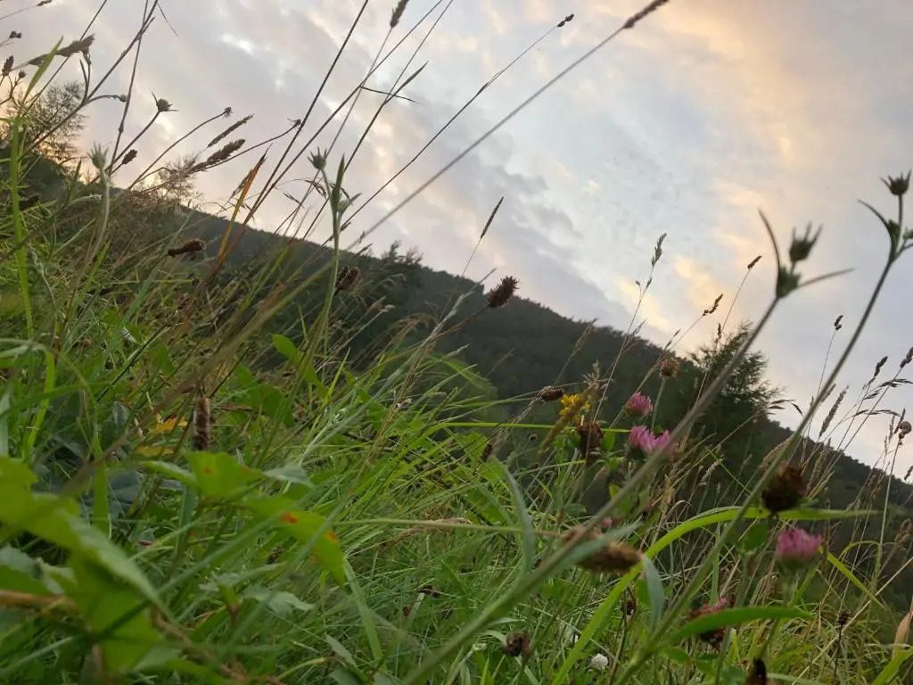 The View by Afan Valley Escapes