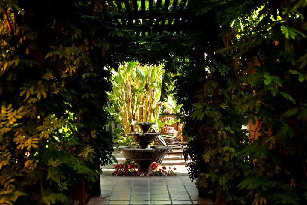 Hotel California - A Town & Desert Boutique Hotel
