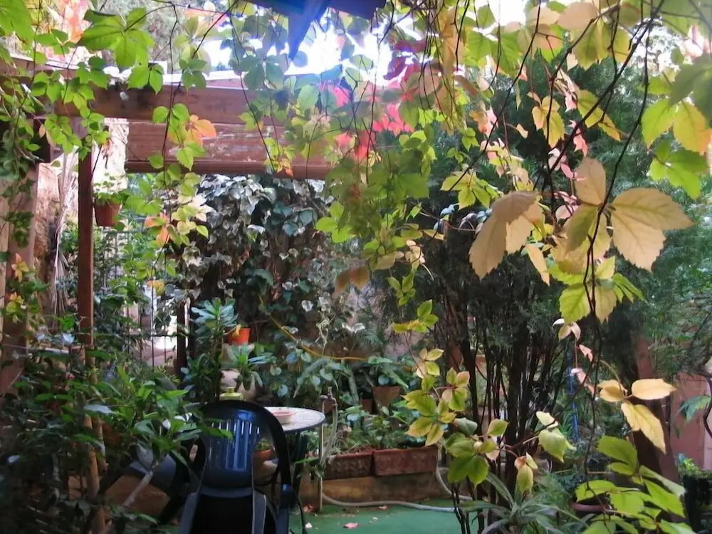 The Garden