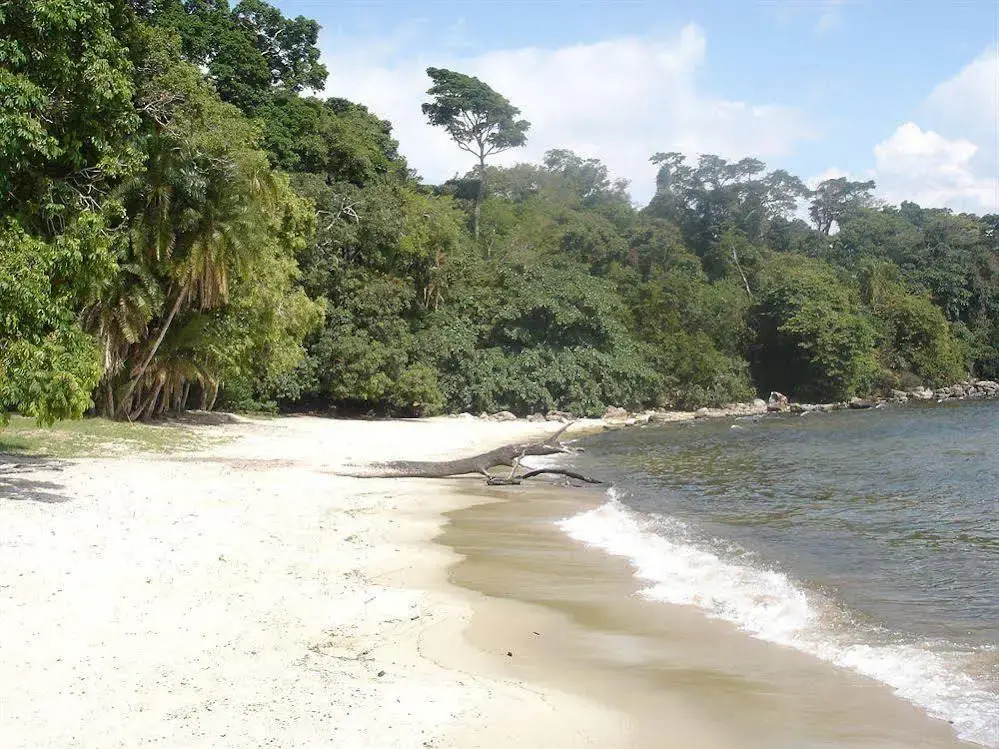 Rubondo Island Camp