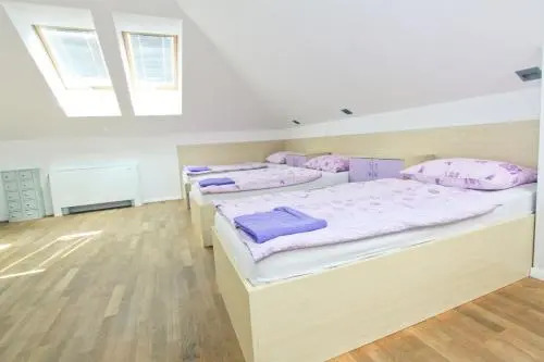 Youth Hostel Krško