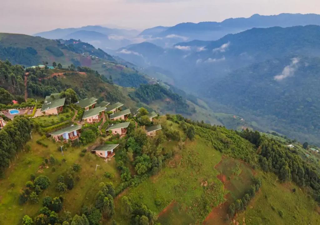 Gorilla Heights Lodge by NEWMARK