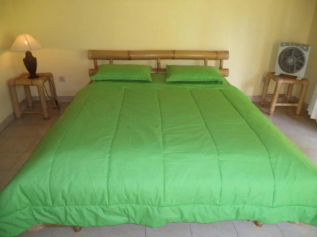 Green Coco House