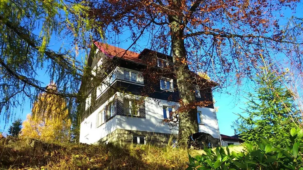 Słoneczko