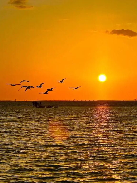 Serendipity At Naples Park By Sky Run Naples 3 Bedroom Home