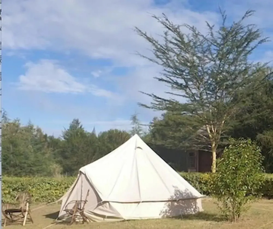 Great Circle Camping and Game Drives