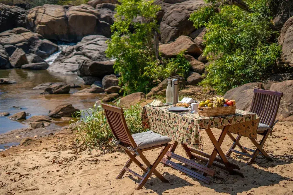 The Riverwood Forest Retreat - Kanha