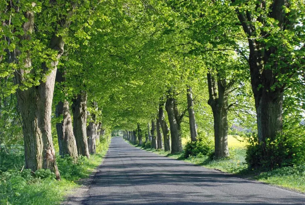 schöne Ferienwohnungen in Dranske auf dem Windland