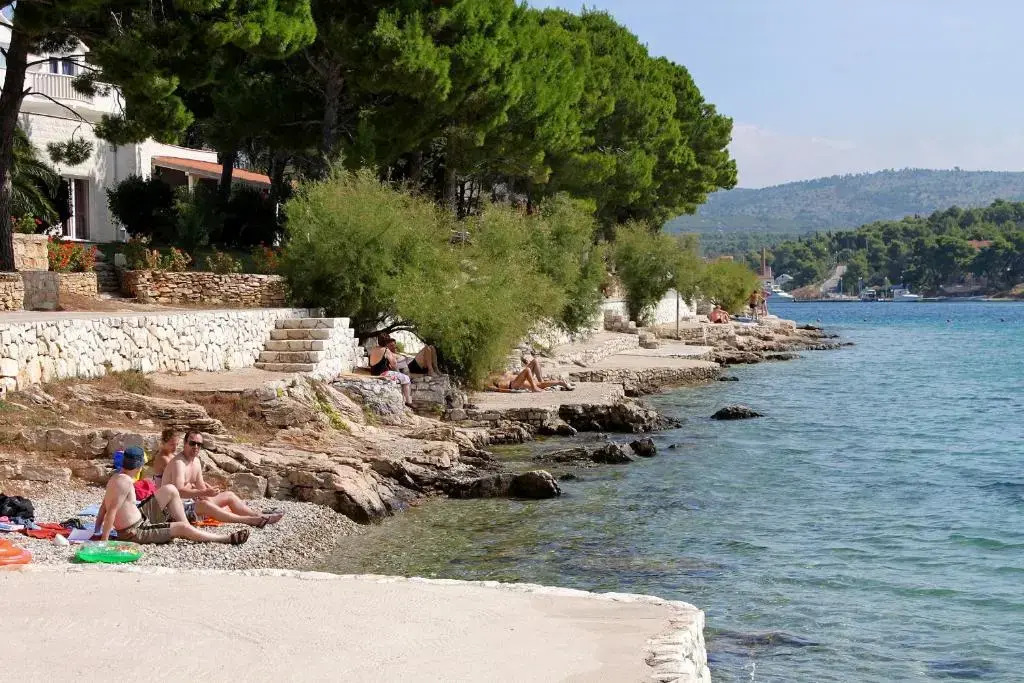 Apartments by the sea Milna, Brac - 18743