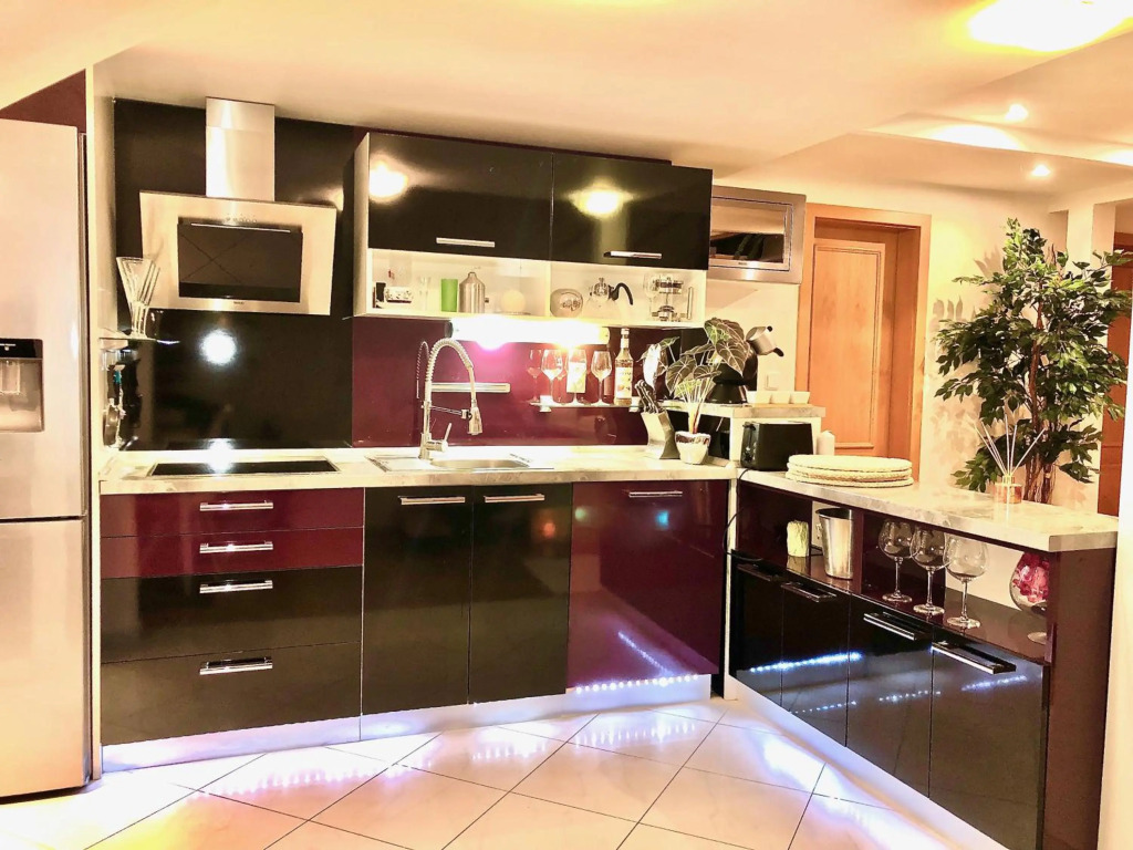 Duplex with quite terrace on Wenceslas sq