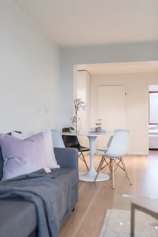 Scandinavian Apartments in City Center