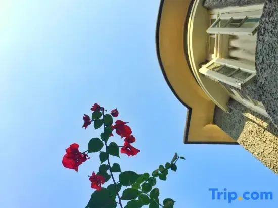 Xiamen Gulangyu Aifeier Hotel Guanglangyu Blue Island Branch