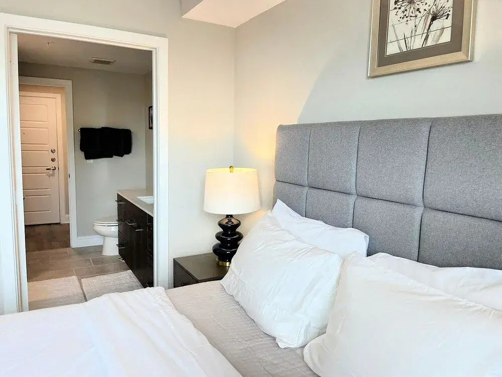 The Elvis Presley Urban Luxury Apts Austin