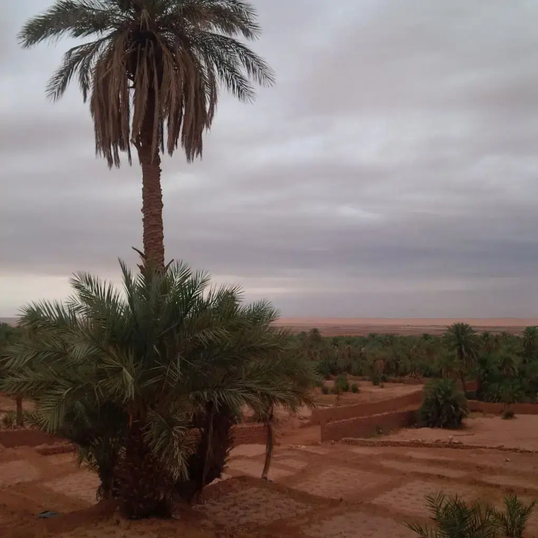 Hotel Ksar Amazaten