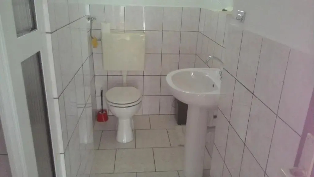 Apartment and Rooms Busa 3