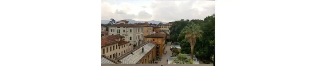 Flor in Florence