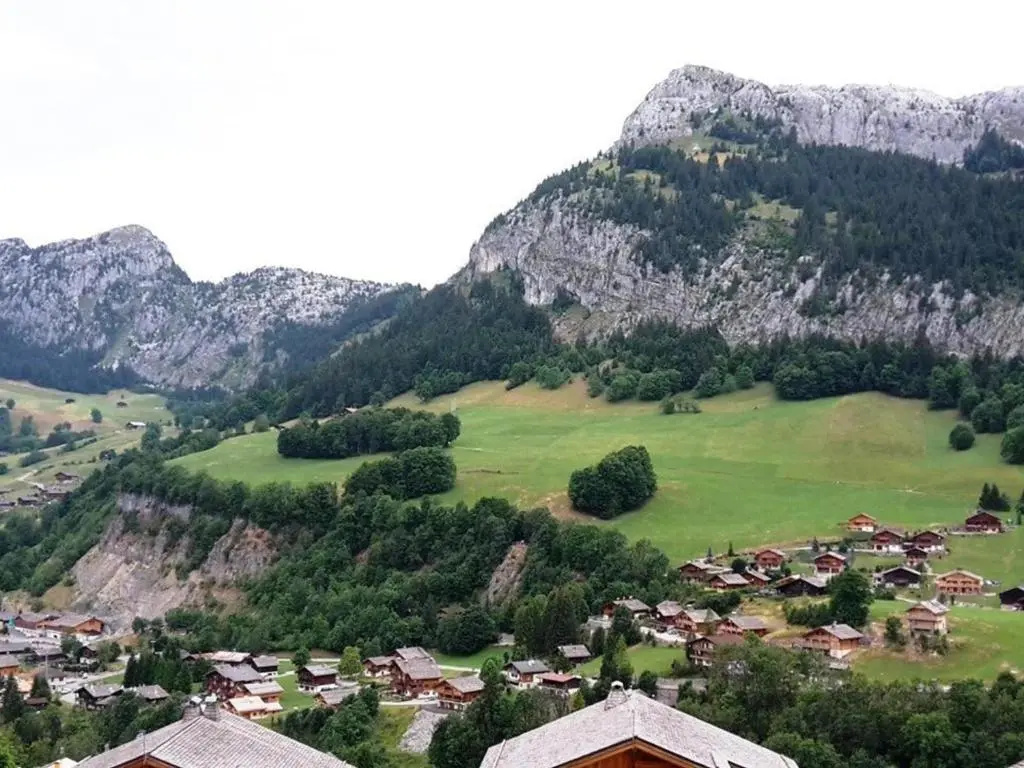Appartement Le Grand-Bornand, 2 pièces, 6 personnes - FR-1-241-21