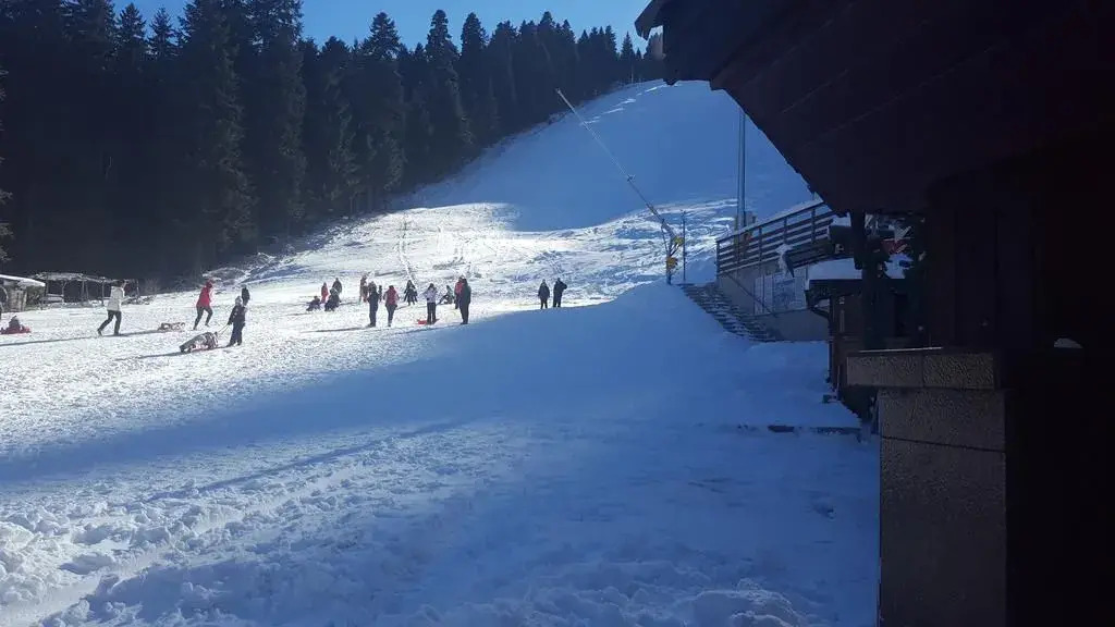 Hotel Forest Star on the Ski Slope