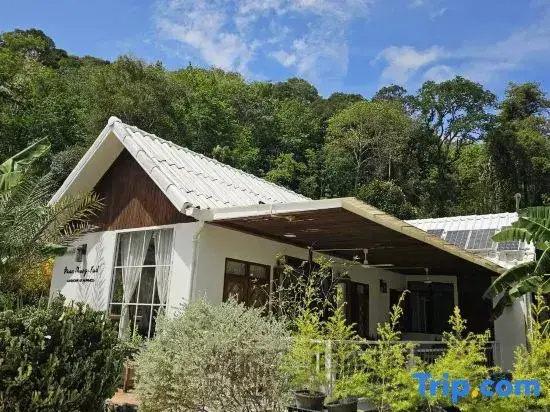 Tropical Oasis Aoyon Beach House
