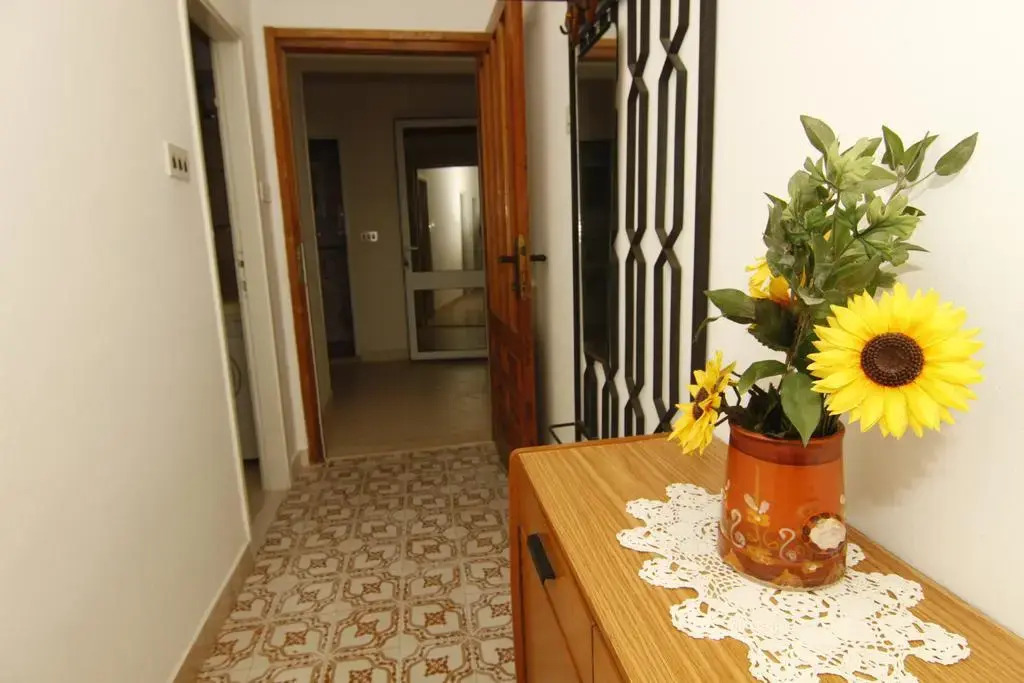 Apartment Tomy