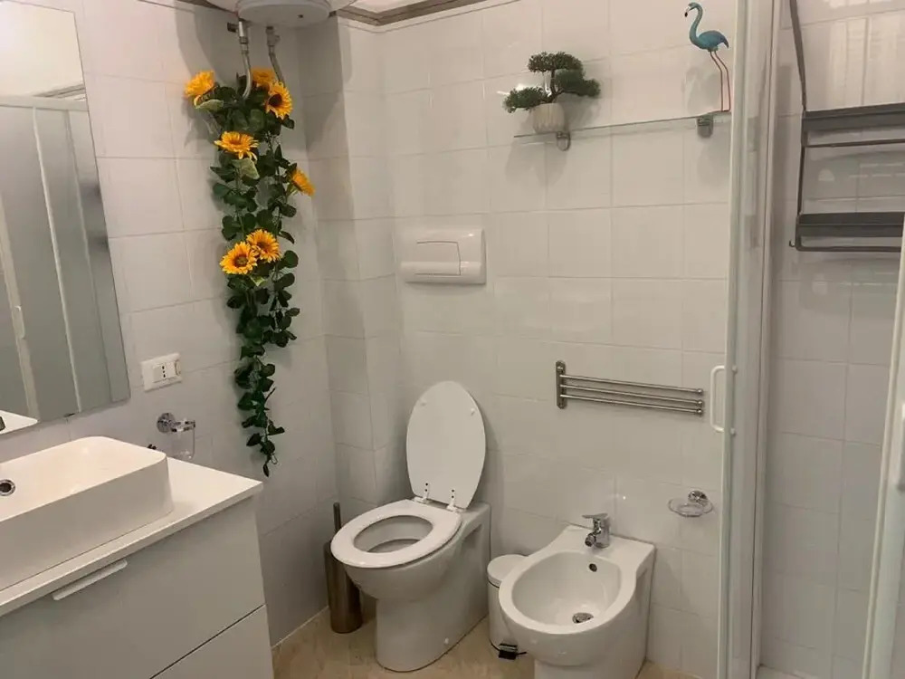 the Big Apartament Annee Elegant and Cozy---------------------------------------