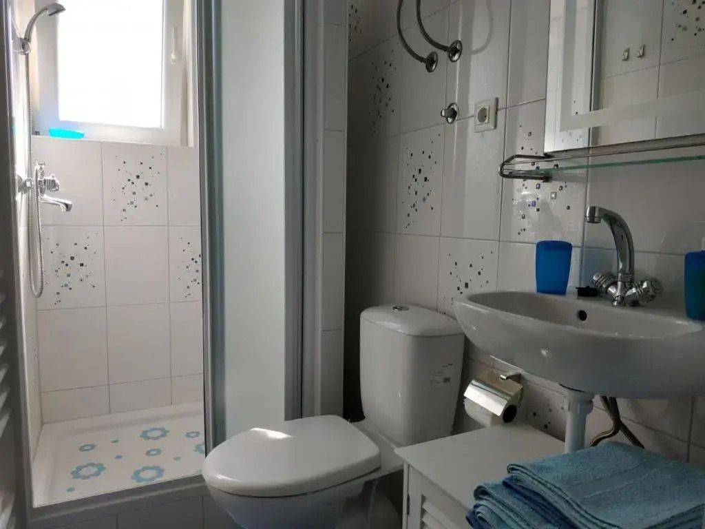 Amazing seaview apartment with a balcony near the beach - Kneza Trpimira I - AE1386