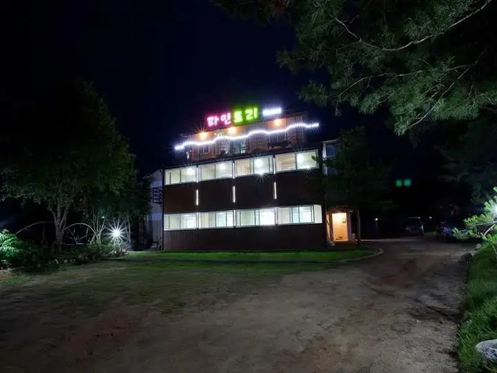 Gangchon pinetree