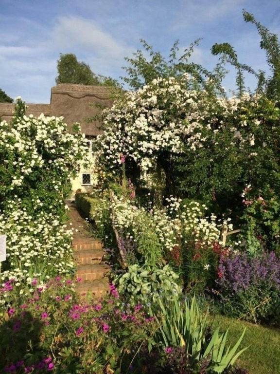 Thatched Cottage B&B