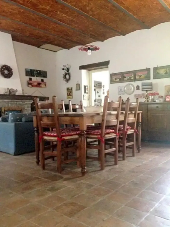 La Gatta sul Tetto