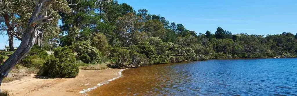 Kalgan River Chalets and Caravan Park