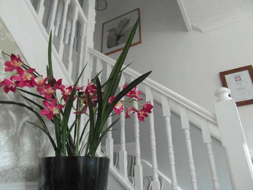 Harriet House B&B