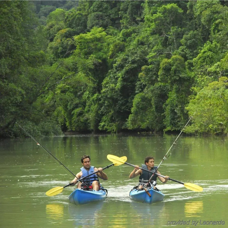 Playa Nicuesa Rainforest Eco Sanctuary