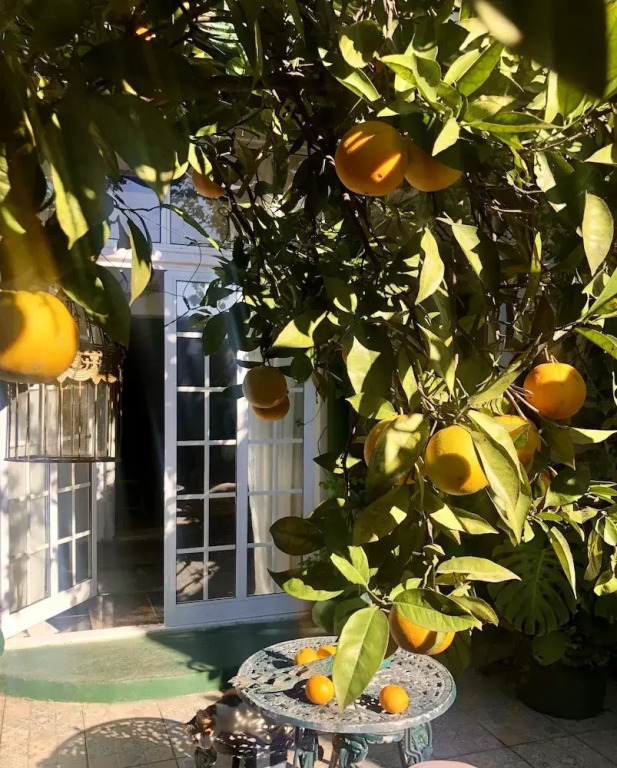 House Sleeps 4 with Private Garden