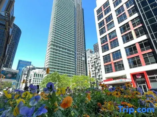 DT2BR2BA CN tower &lake view/ parking king bed